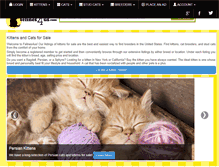 Tablet Screenshot of felines4us.com